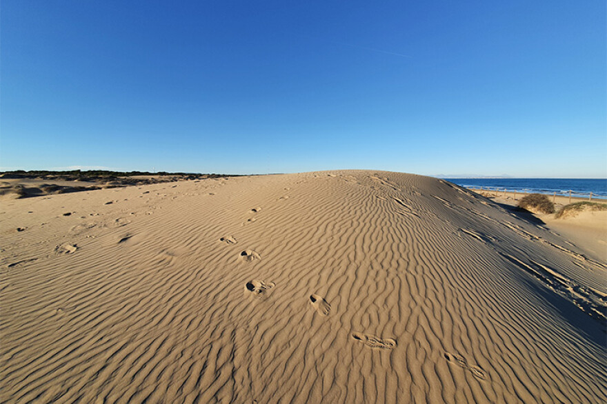 Parque Forestal de pinada y dunas