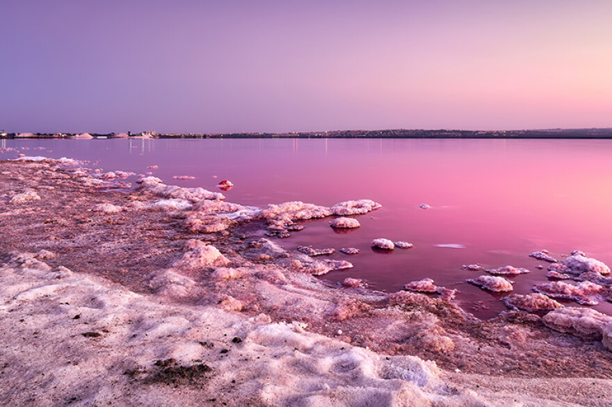 Parque Natural de las Lagunas de La Mata y Torrevieja