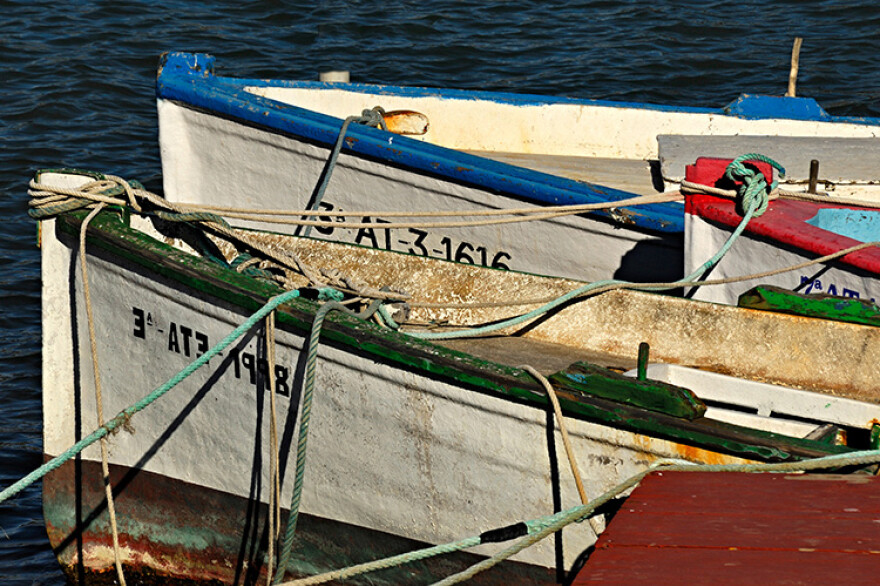 Subastas de pescado fresco